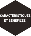 Caractéristiques et Bénéfices