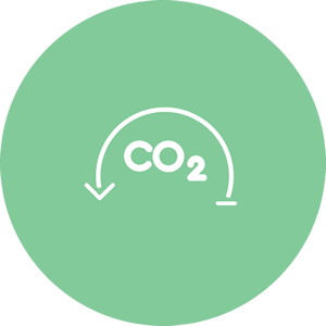 Ciclo do CO2