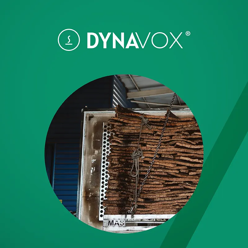 dynavox